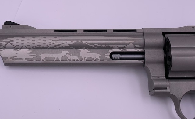 pasted image 0 (10).png