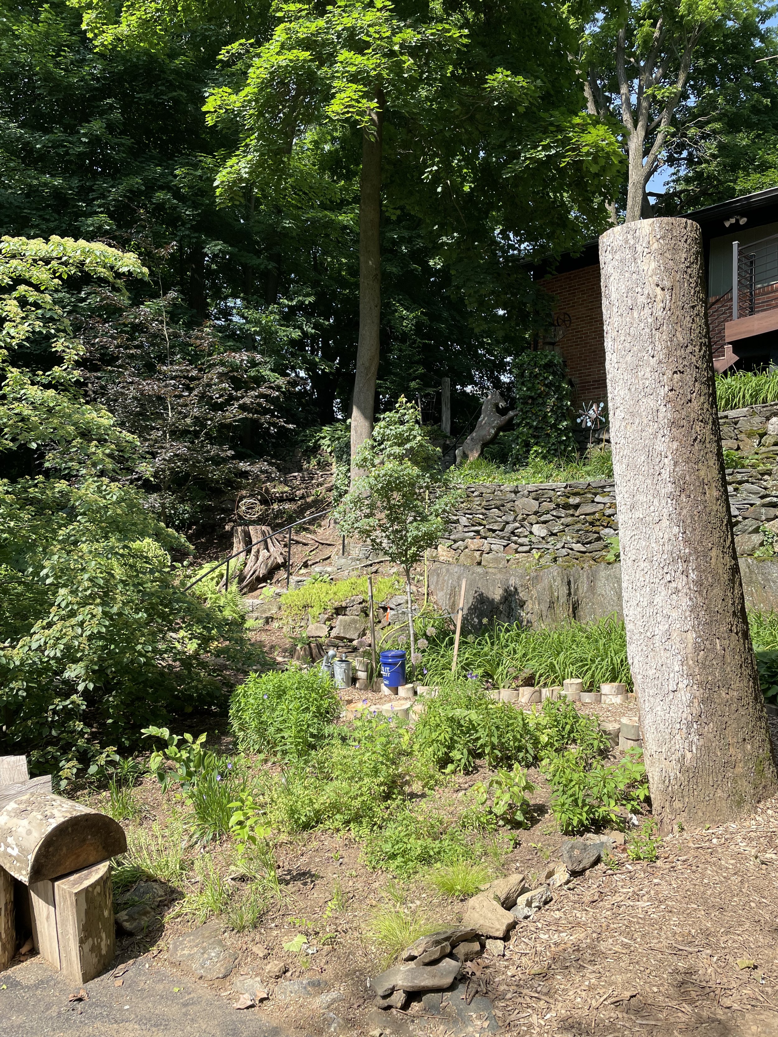 IMG_8928.jpeg