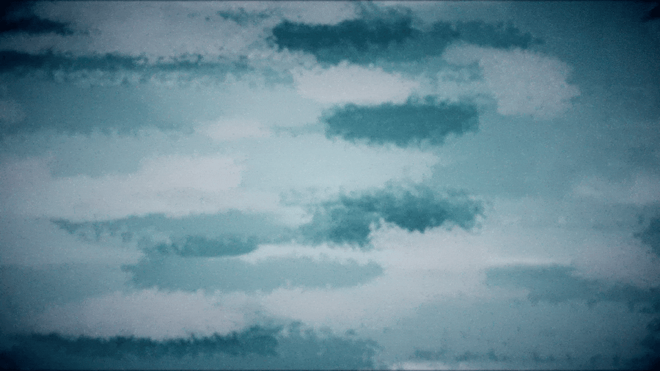 Hooded Crow Fly Cycle_2.gif