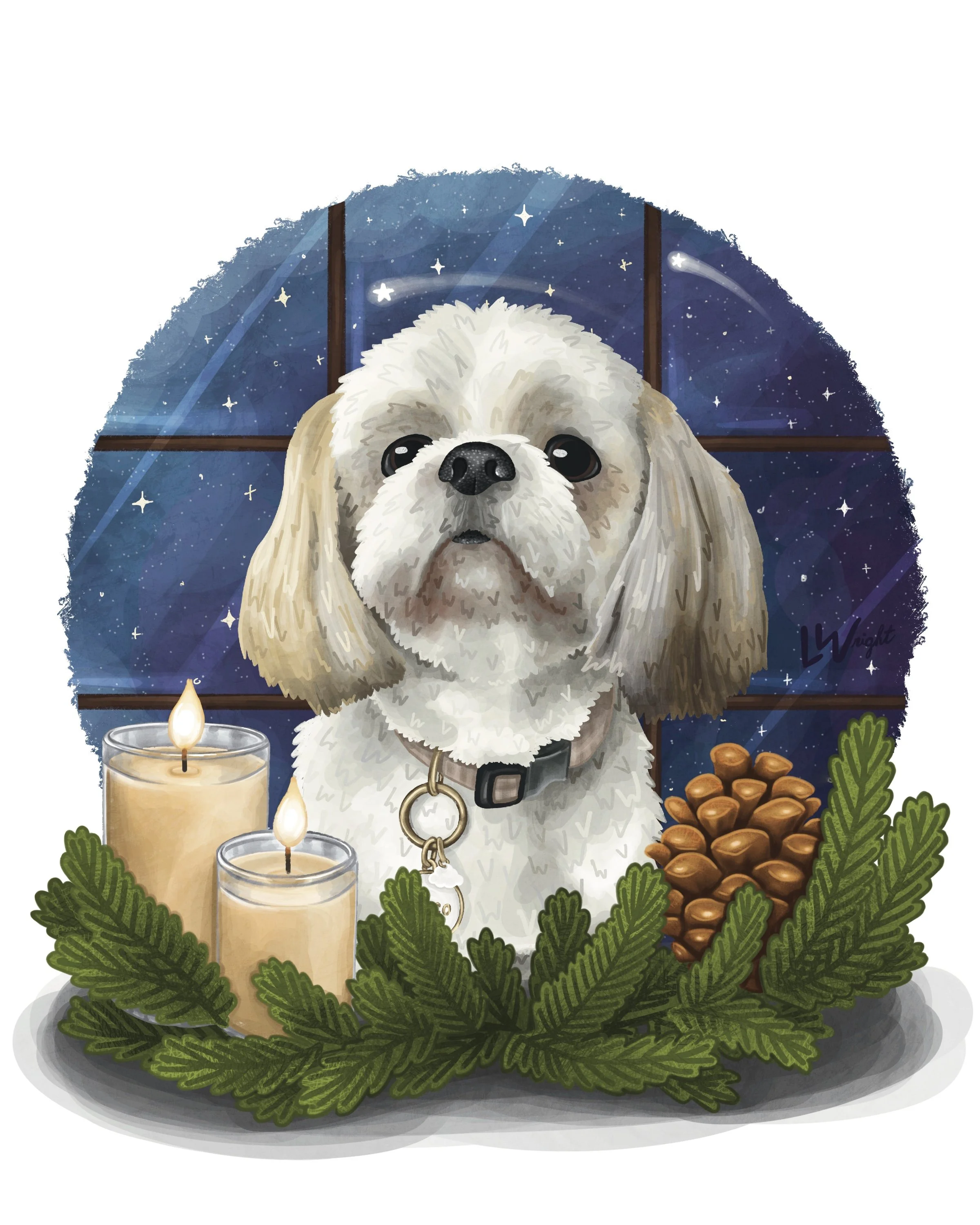 Home for the Holidays | Winter 2025 Collection