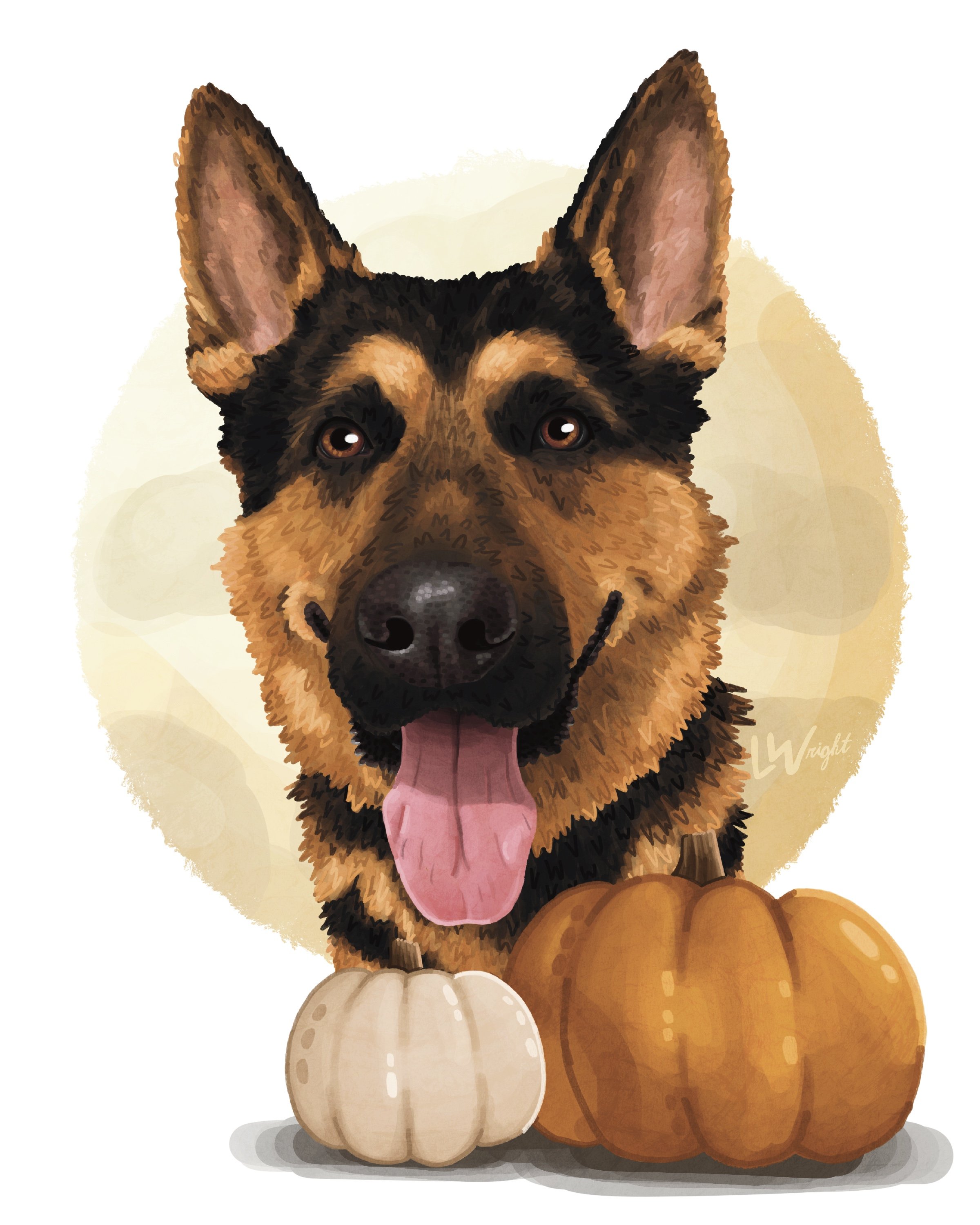Pumpkin Patch | Halloween 2025 Collection