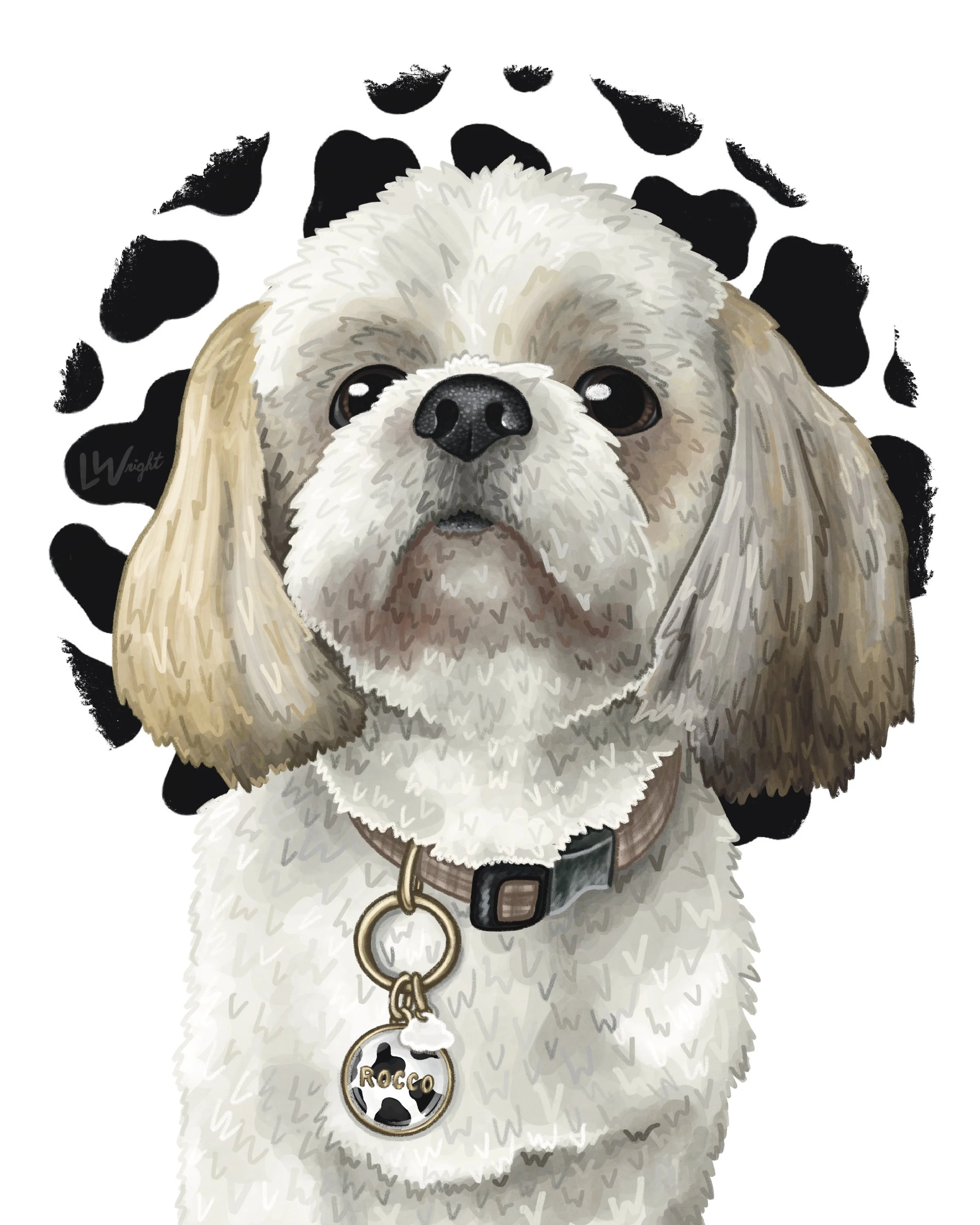 Collar + Tag + Background
