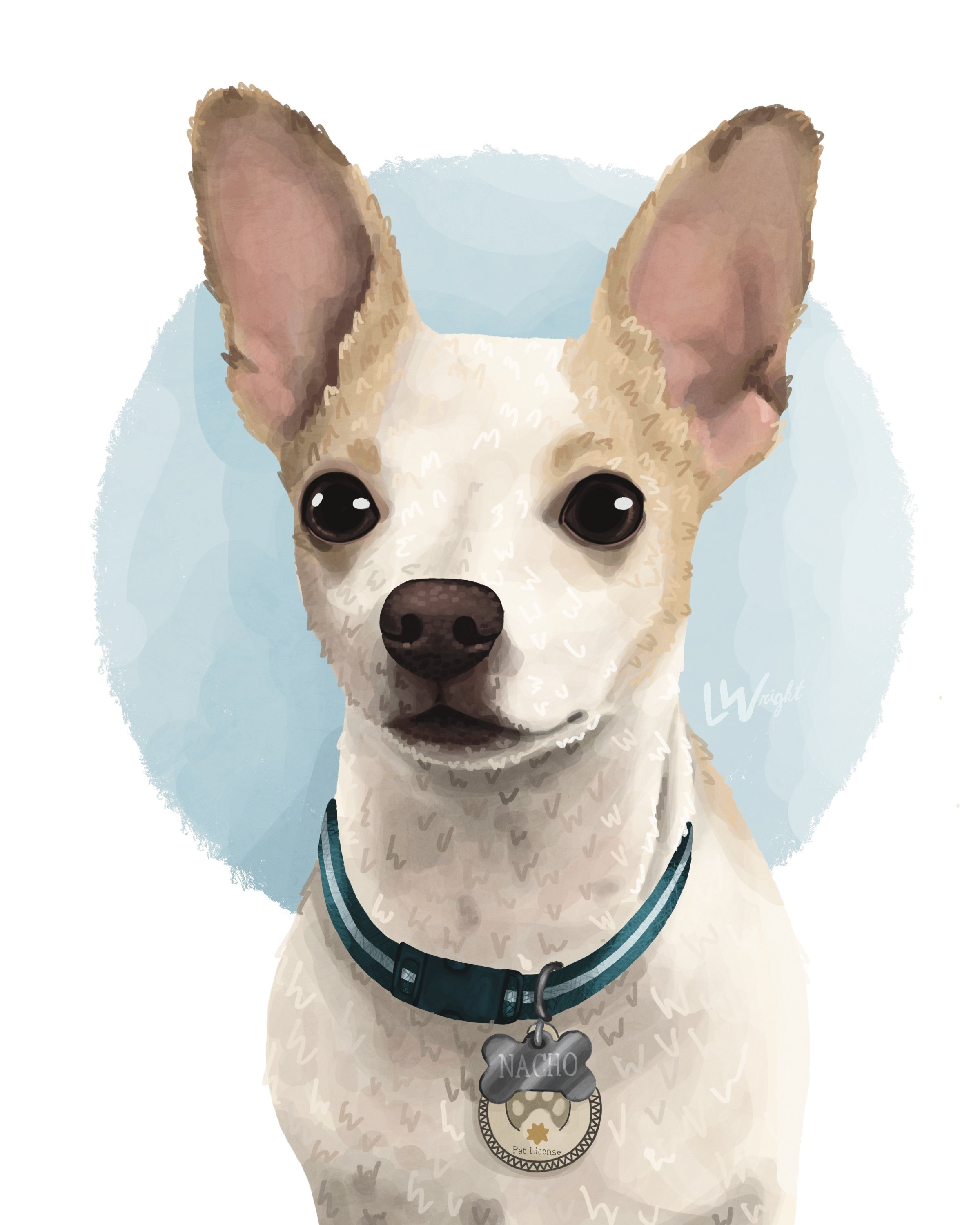Collar + Tags