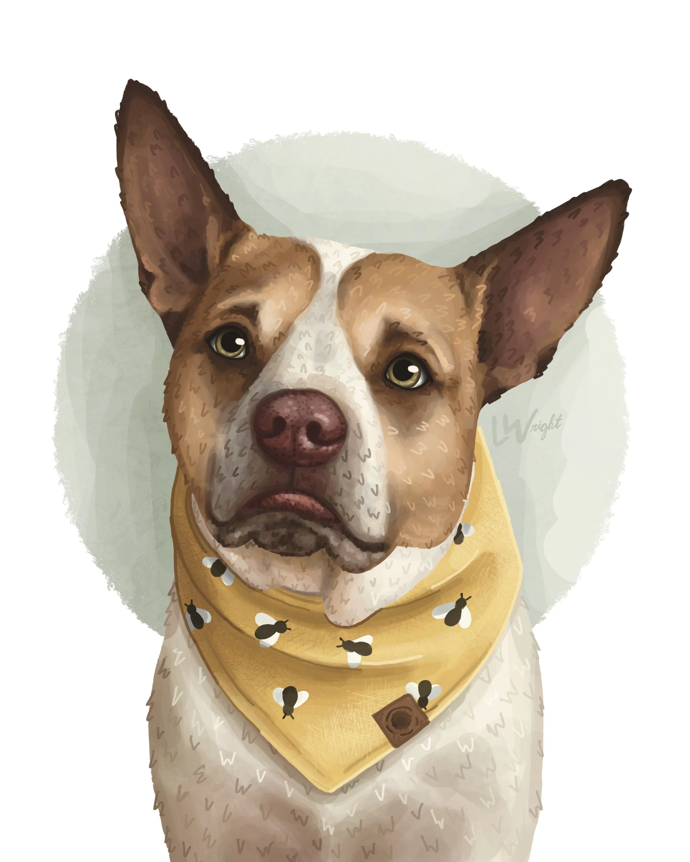 Bandana