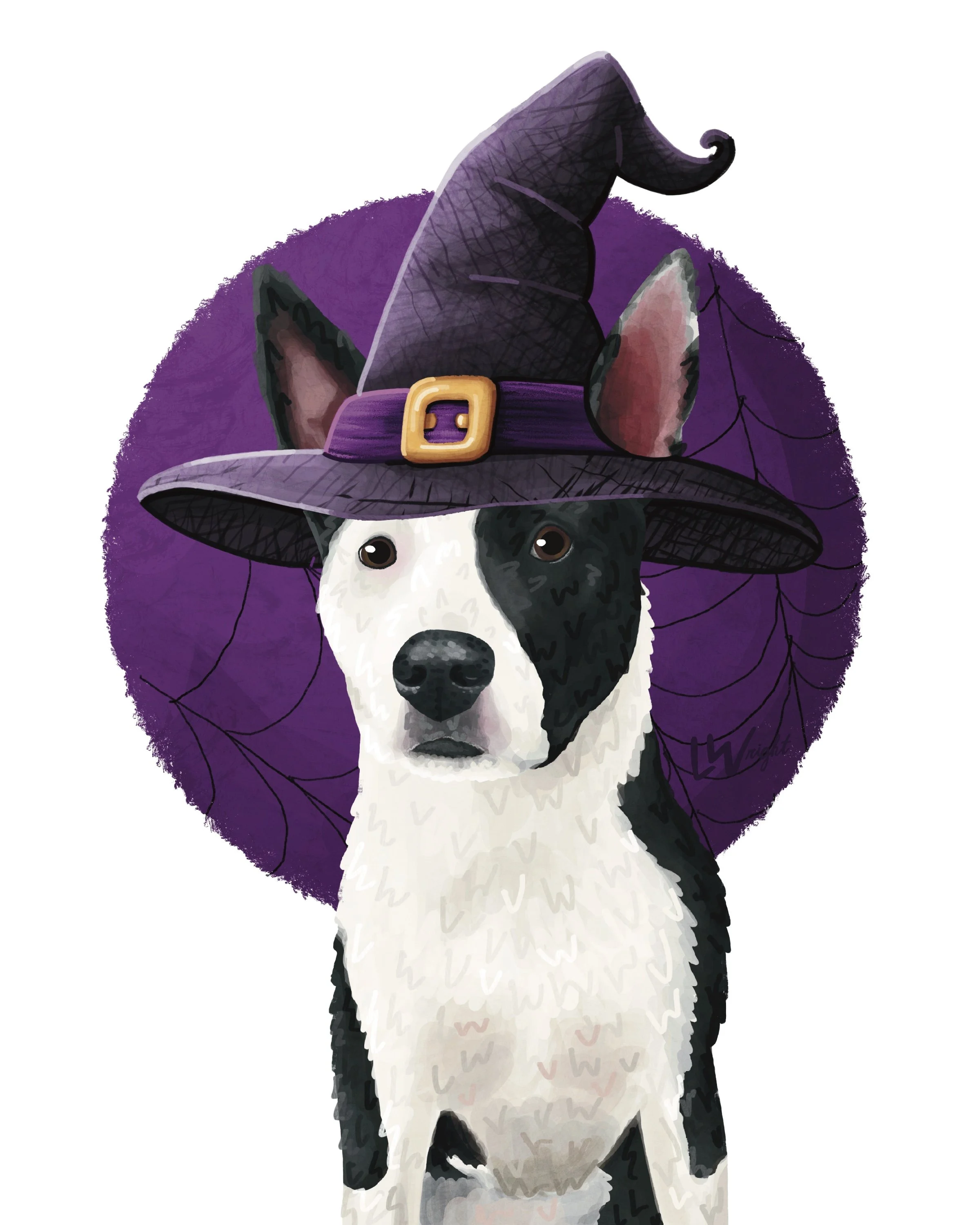 Witch | Halloween 2025 Collection