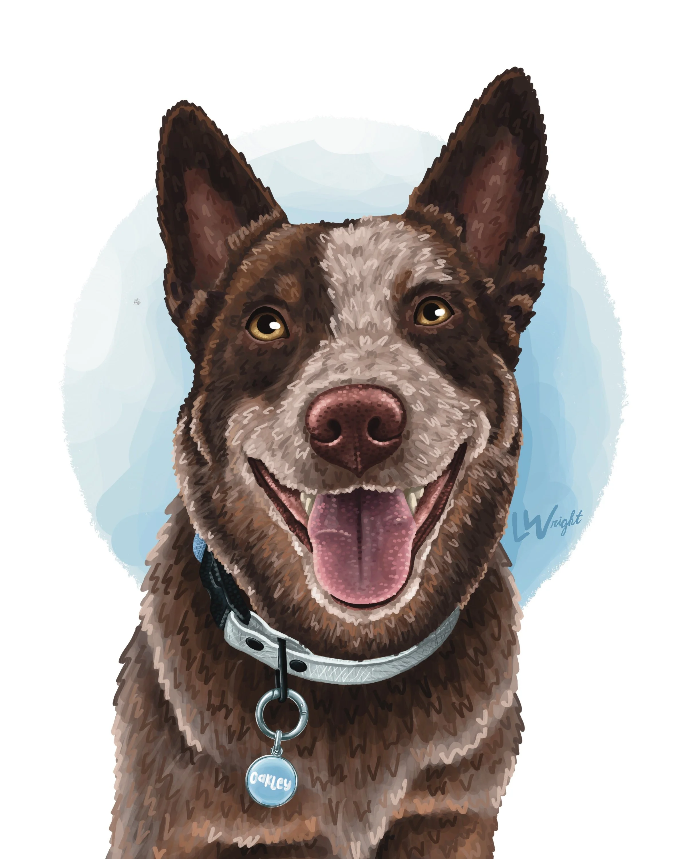 Collar + Tag