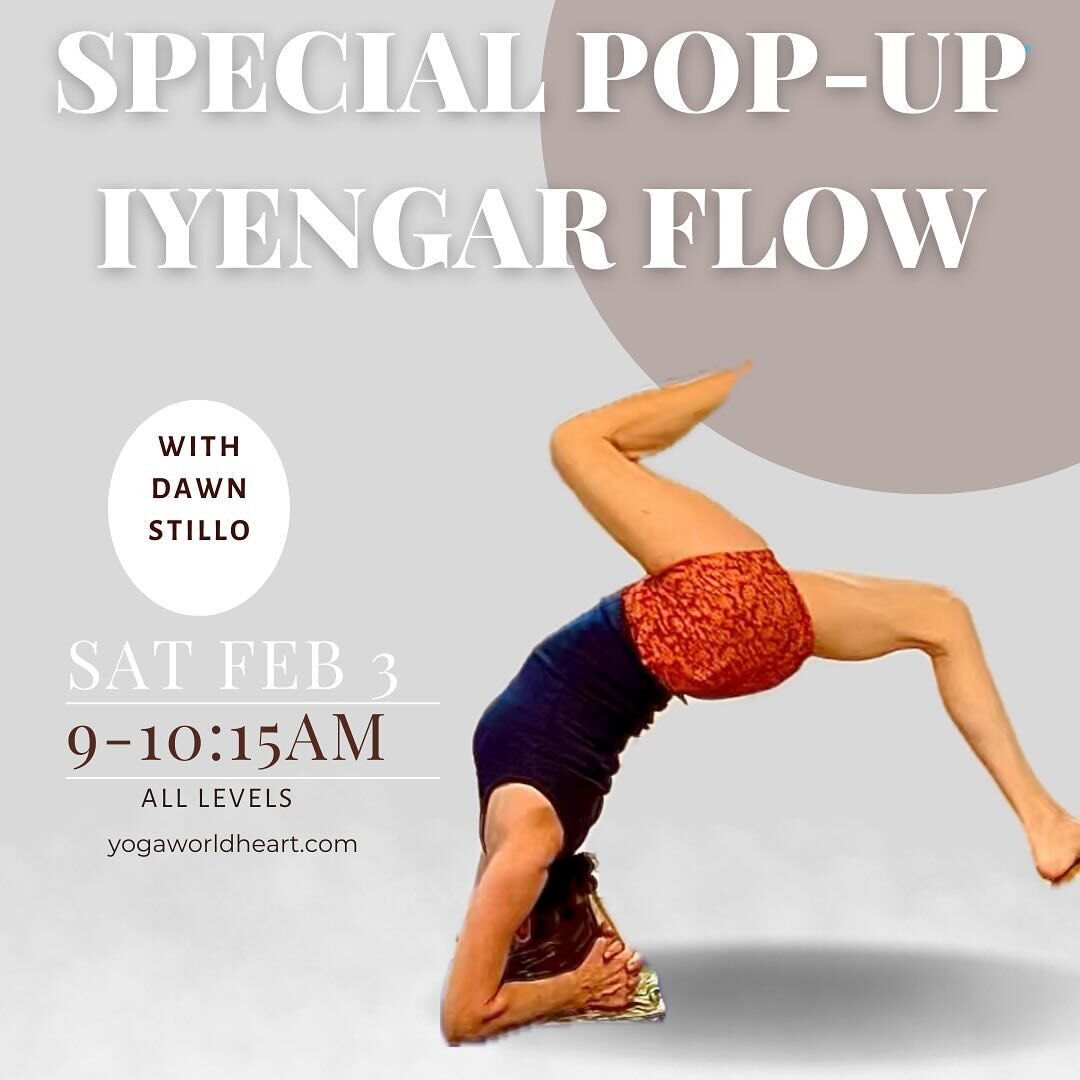 Special Pop&mdash;Up Class with Dawn Stillo on Yogaworldheart.com&hearts;️

Saturday Feb. 3rd, 9-10:15am🙏🏽

#liveonlineyoga #iyengaryoga #iyengar #suryanamaskar #invigorating #meditativemovement 
@yogaworldheart