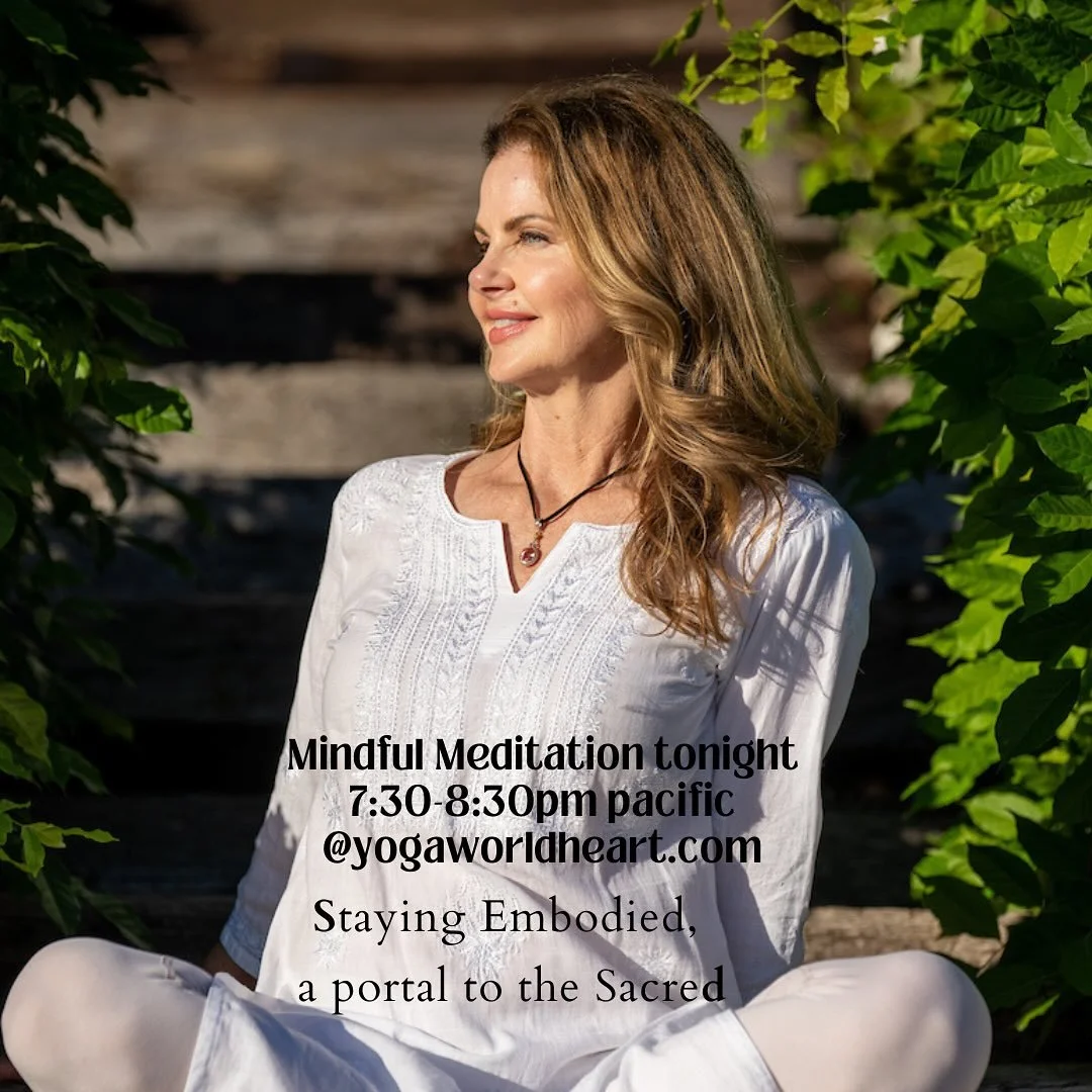 All are welcome, from your home🙏🏽🩷 

@kellyfogelphotography 🙏🏽🩷

#mindfulmeditation #liveonlinemeditation #dharmatalk #opendiscussion