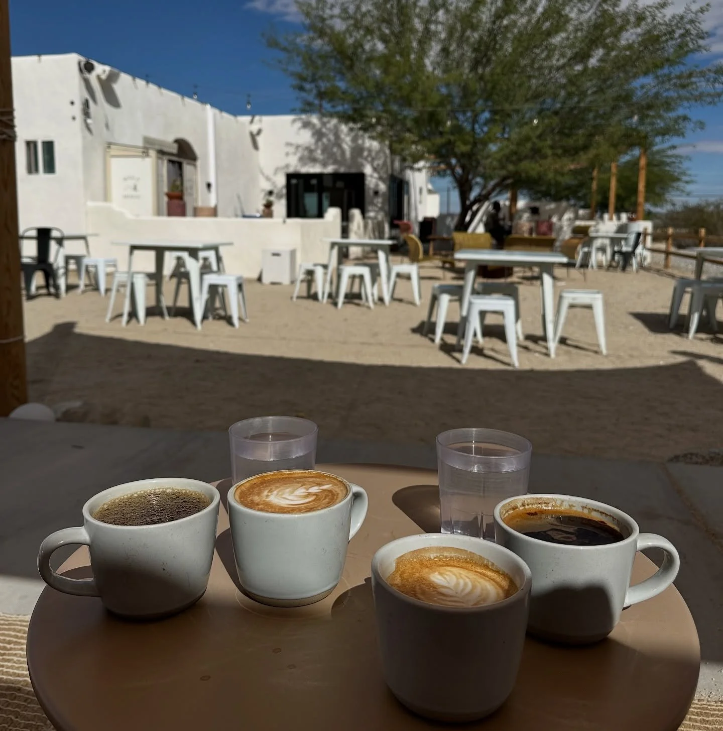 Joshua Tree a couple weeks ago