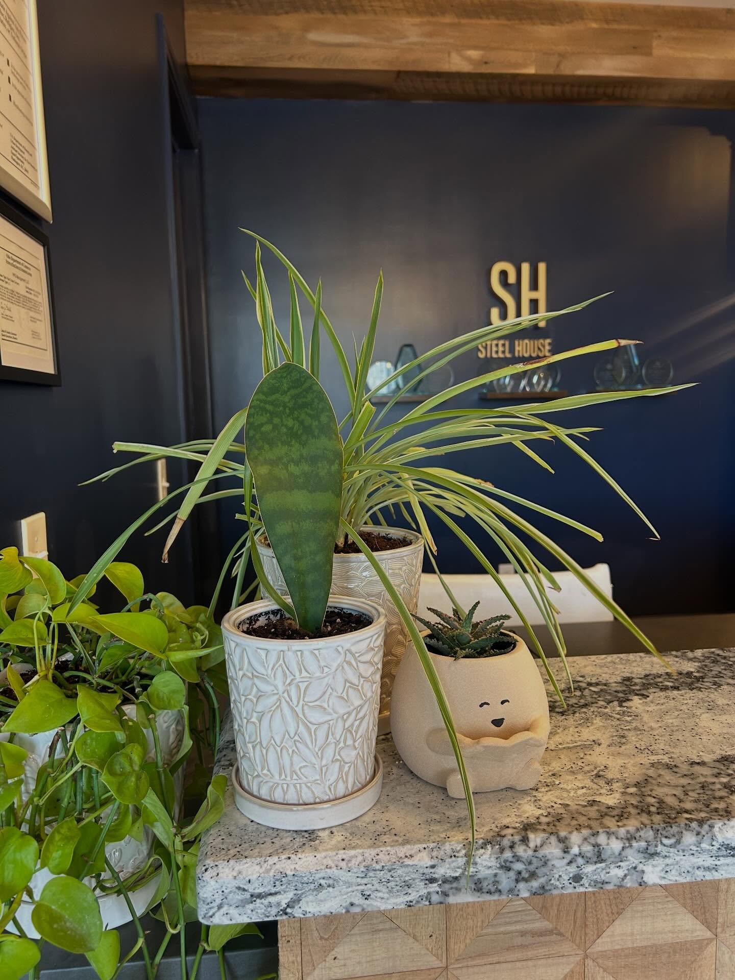 Sun&rsquo;s out, vibes up ☀️

It&rsquo;s a beautiful day here at Steel House and there&rsquo;s no better place to soak it in. Whether you&rsquo;re grabbing a coffee in the lounge, getting a workout in, or heading out to explore the neighborhood, toda