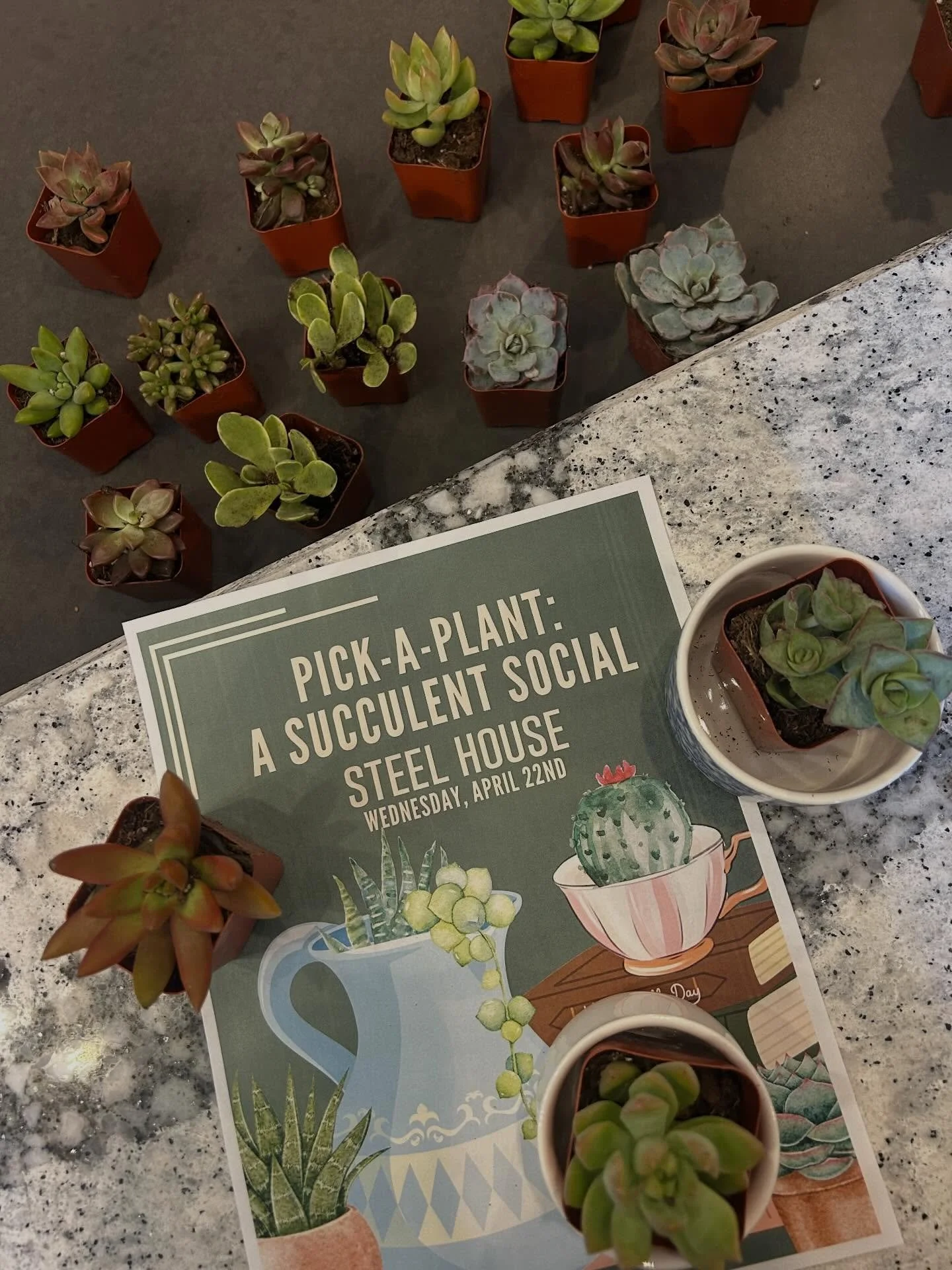 Midweek plans? 🌵

Don&rsquo;t forget to join us this Wednesday for our Pick-A-Plant Succulent Social at Steel House starting at 3PM! 

Stop by, grab a plant, and enjoy a little time with your neighbors 💚🌱

#SteelHouseLiving #SucculentSocial #PickA