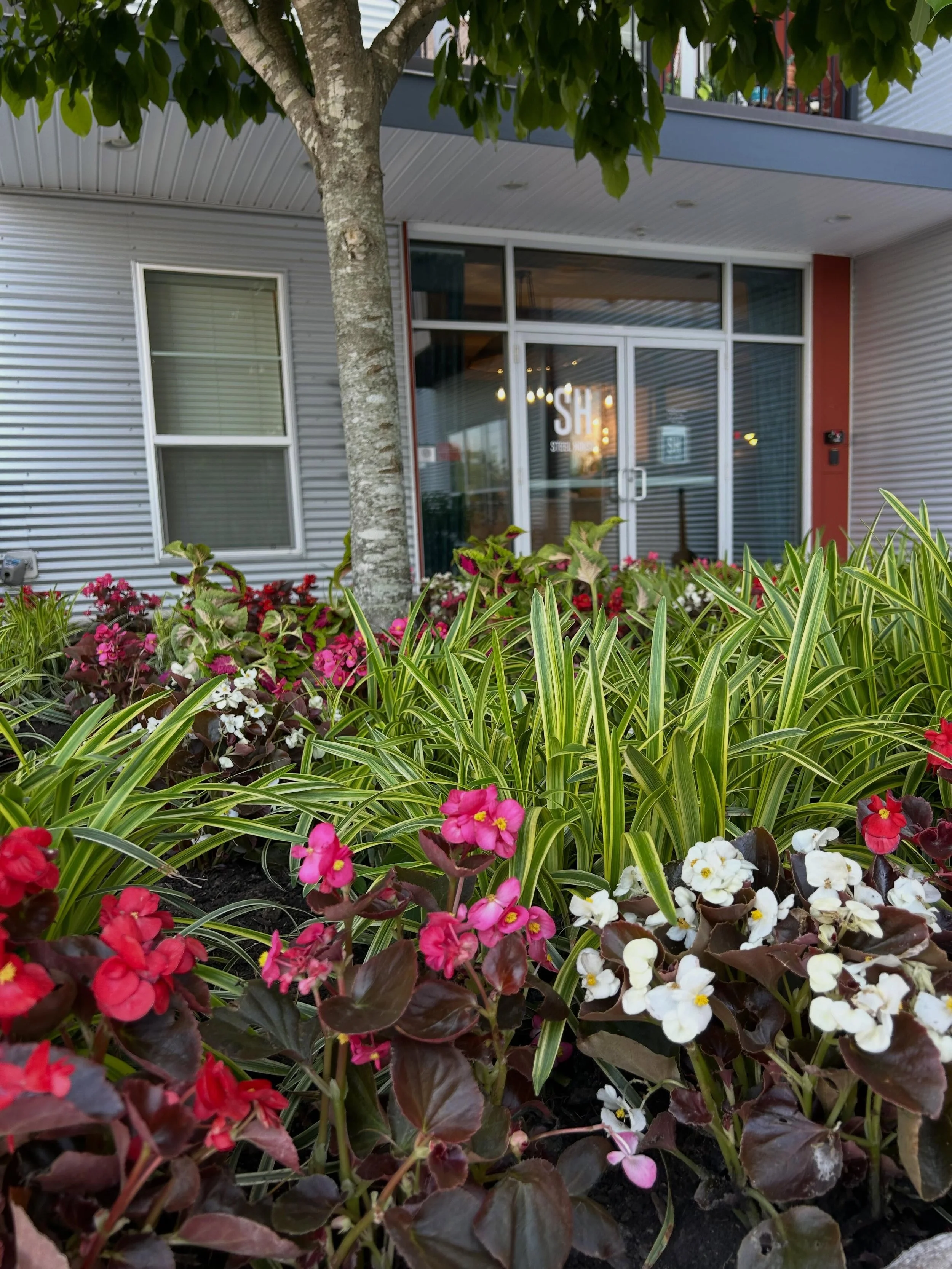 Our summer florals are here, and we couldn&rsquo;t be more excited! ✨🌸

Nothing brightens up the community quite like fresh seasonal blooms. From vibrant colors to beautiful arrangements, our summer flowers are adding the perfect touch of sunshine a