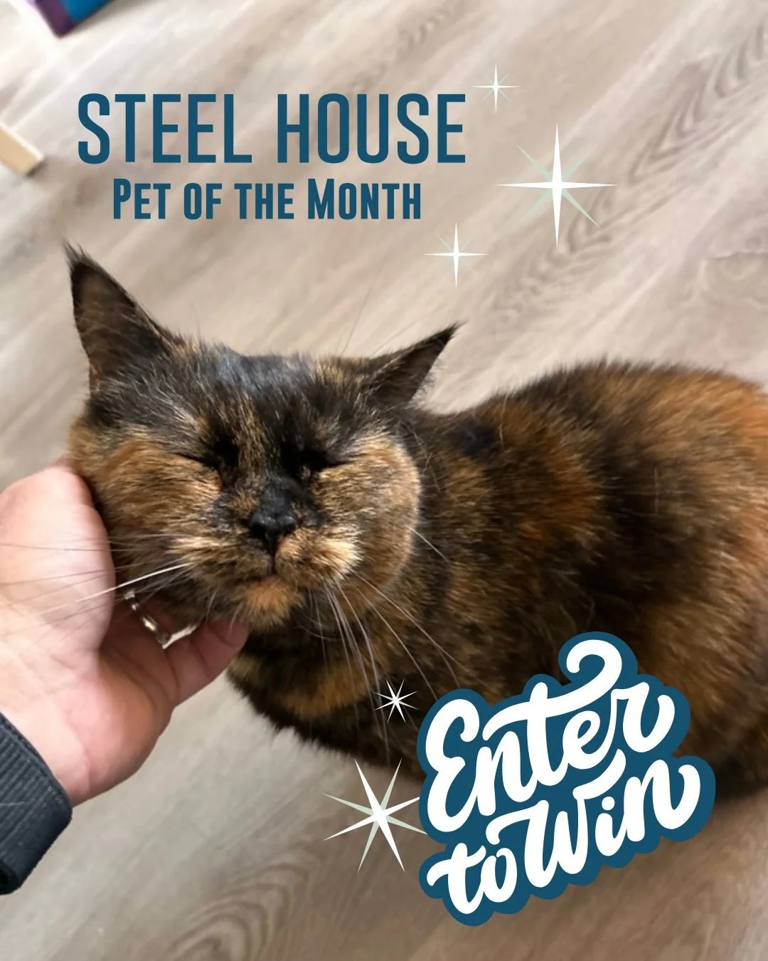 🐾 Steel House Pet of the Month Contest! 🐾

Think your furry, feathered, or scaly friend has what it takes to be our next Pet of the Month? We want to see them! 📸

Submit your favorite pet photo to info@steelhousecolumbus.com by Wednesday, June 17t