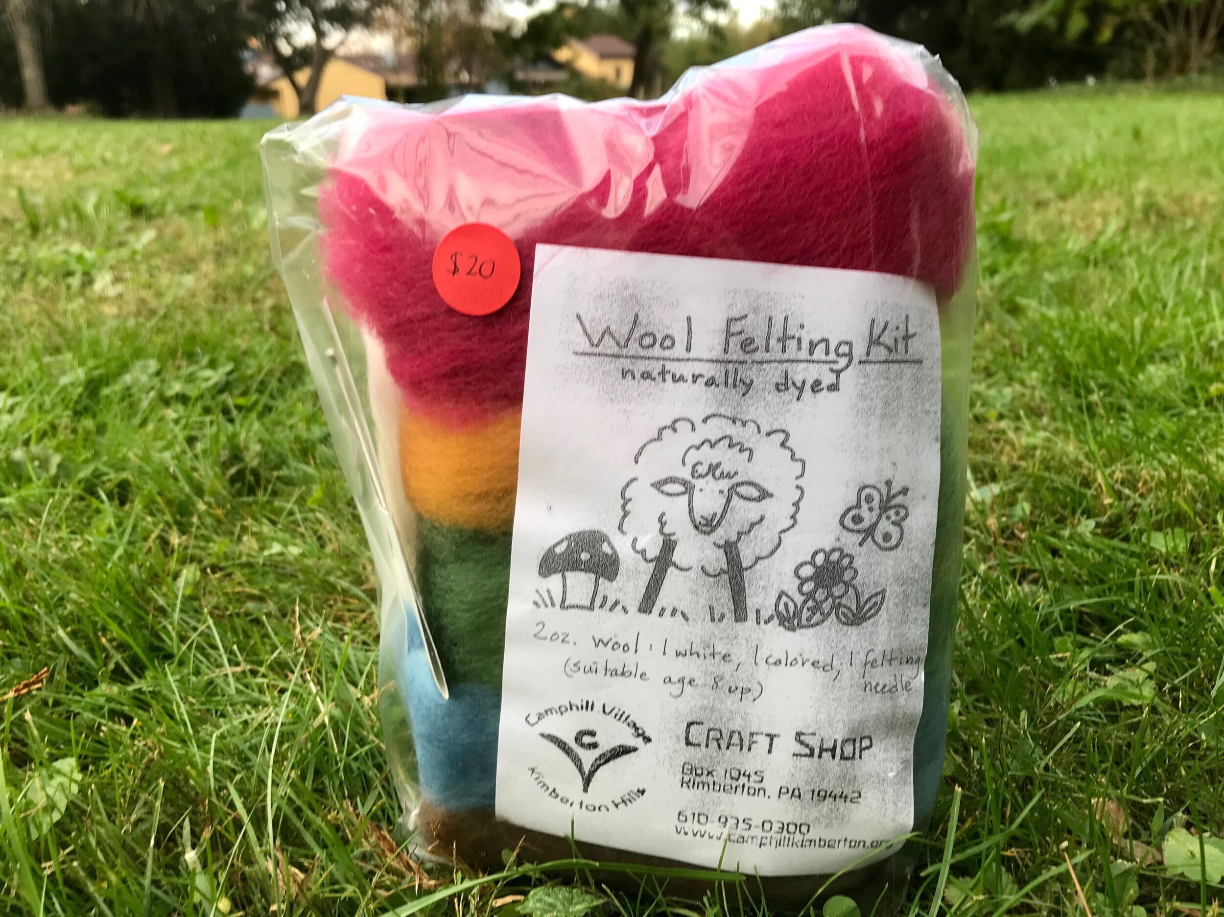 Naturally Dyed Wool Felting Kit