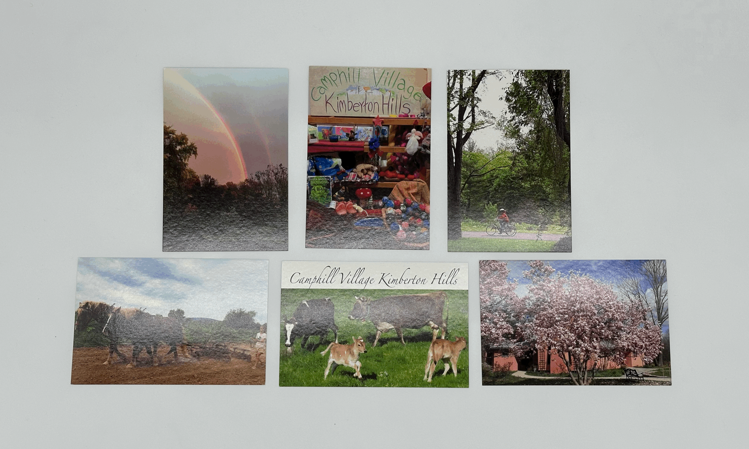 Stella Natura 2025 Biodynamic Planting Calendar Camphill Village stella-natura-2025-biodynamic-planting-calendar-camphill-village