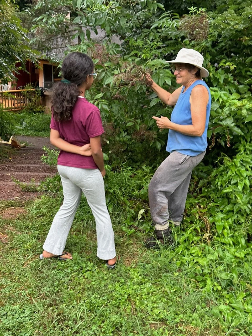Kimberton Hills Herb Garden Tour - August 30