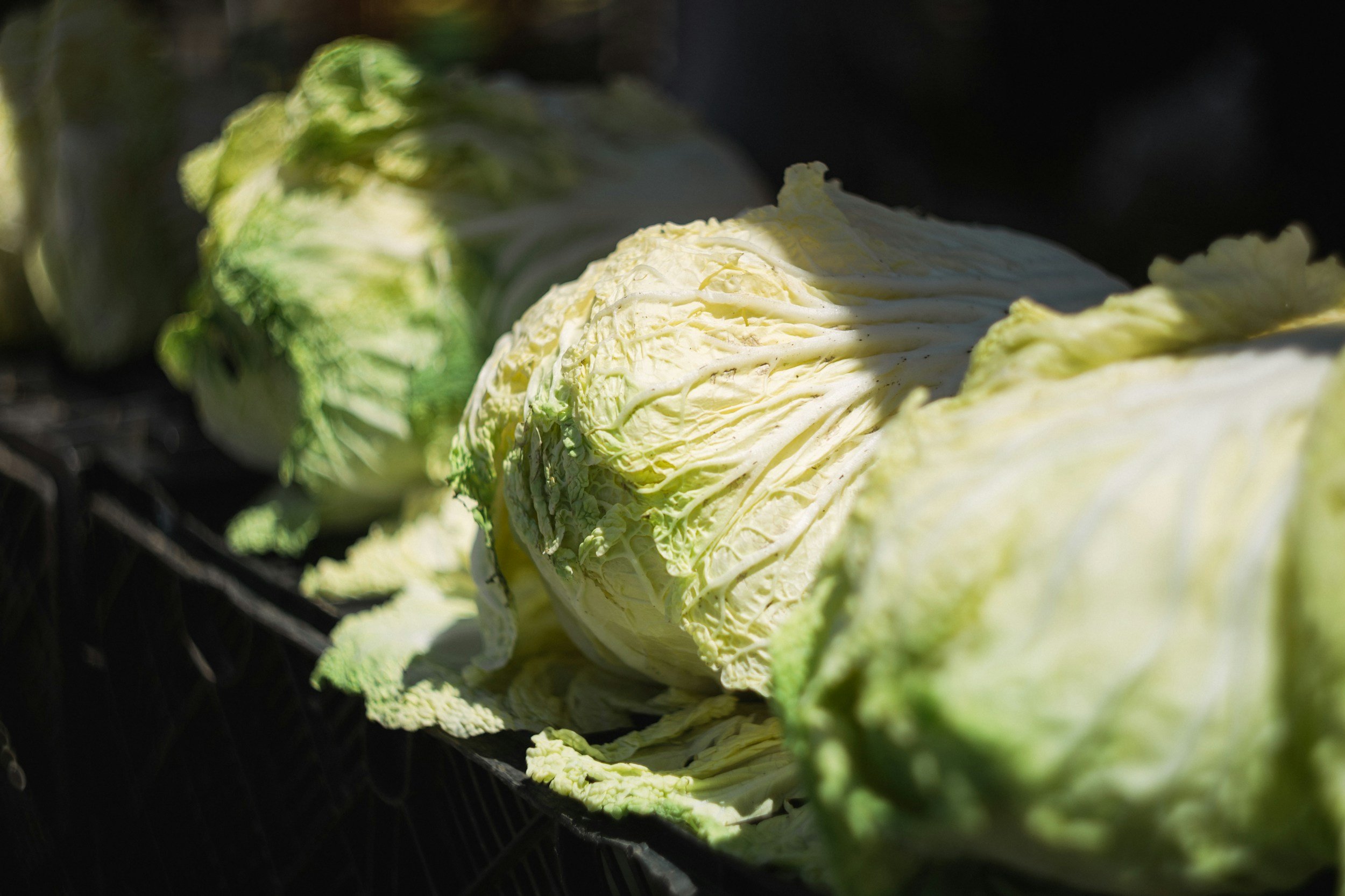 Napa Cabbage, Carrot and Kohlrabi Slaw (makes a large salad, enough for 8 people)
