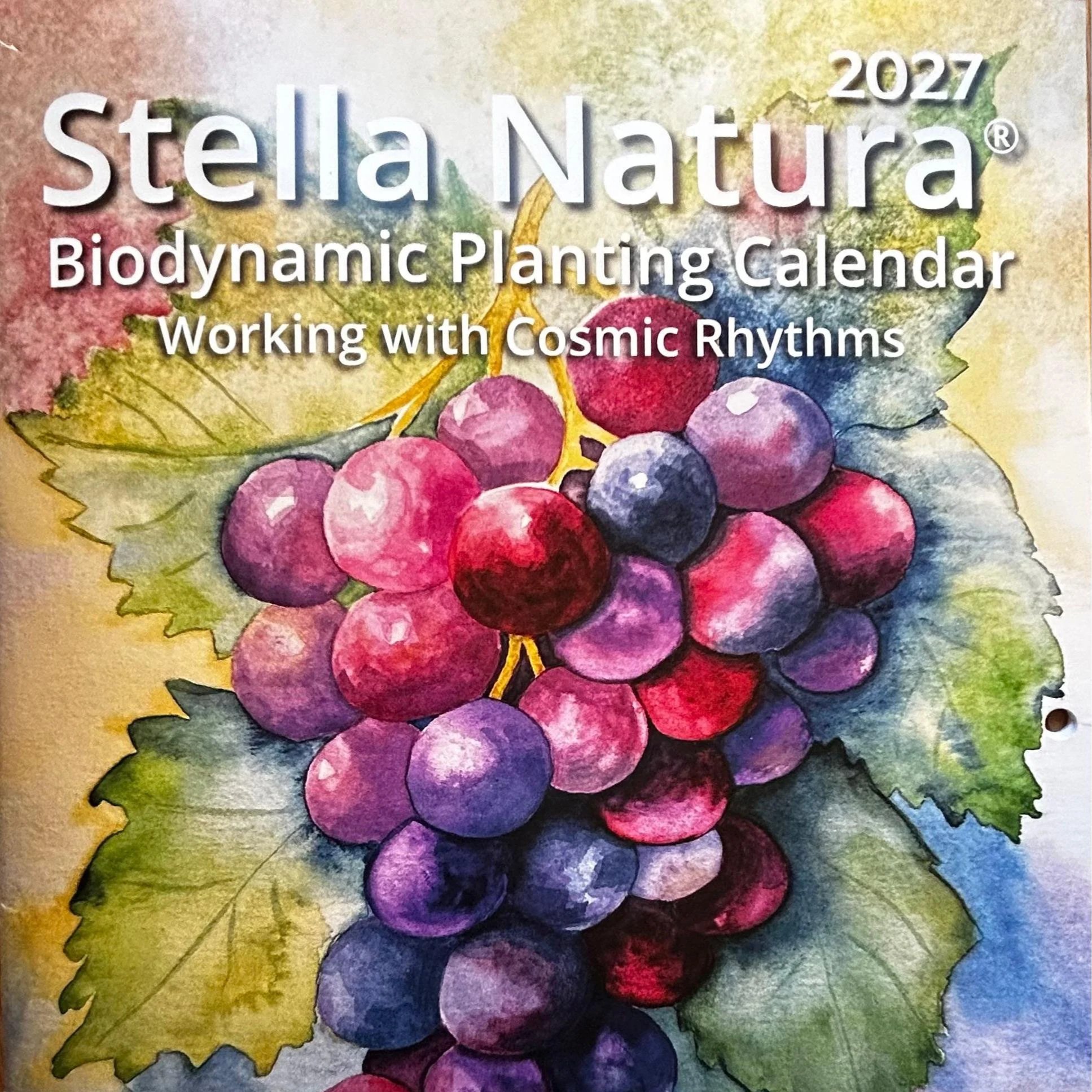 Stella+Natura+2027+Cover.jpg