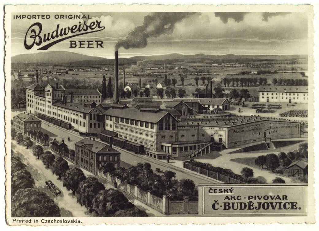 1895.jpg