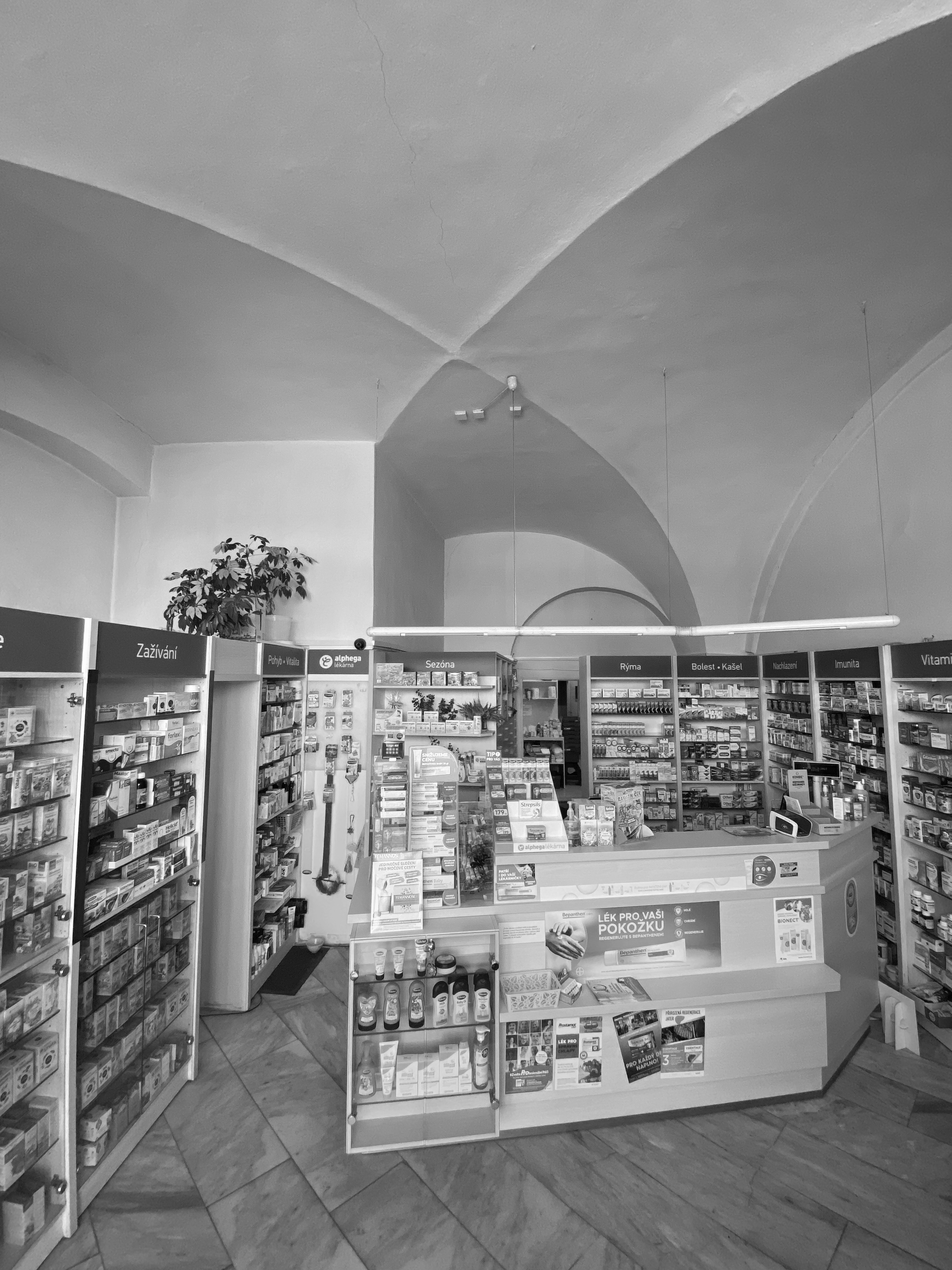 The original pharmacy under the vaulted ceiling before renovation, black-and-white photograph