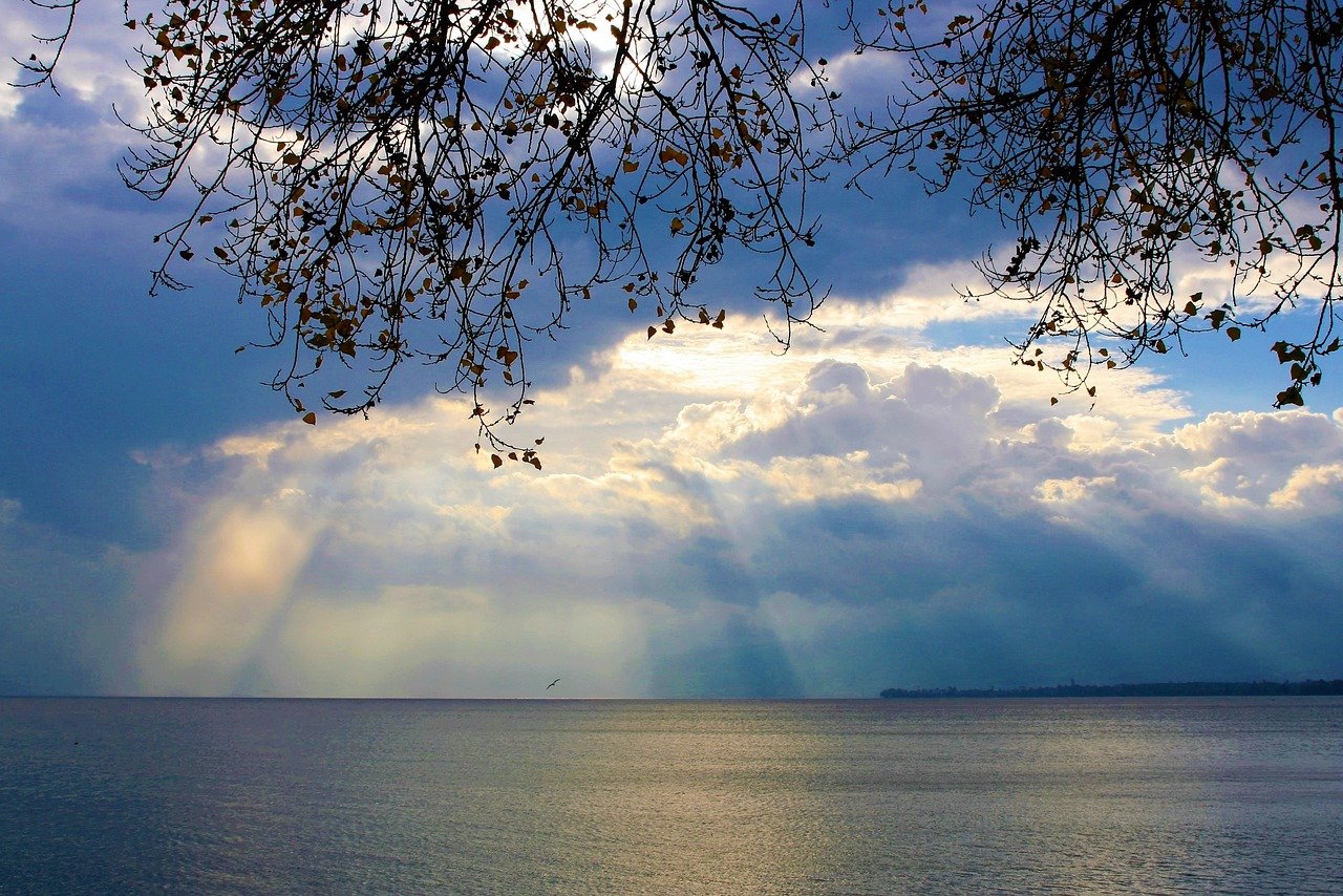 atardecer.jpg