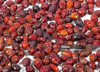 Dried Rose HIps
(Rosa Canina)
Southern British Columbia
$13/100g