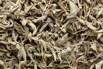 Dried white sage
(Salvia Apiana)
Southern Alberta
$7/100g