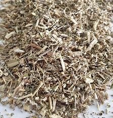 Dried wormwood leaves and stems
(Artemisia Absinthium)
Southern Alberta
$11/100g