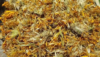 Dried Mountain Arnica flowers
(Arnica Montana)
Southern British Columbia
$17/100g