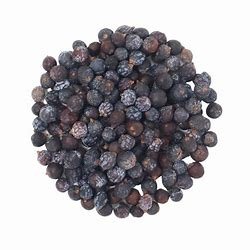 Dried Juniper Berry
(Juniperus Communis)
Southern British Columbia
$22/100g
SOLD OUT