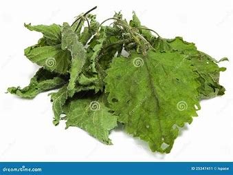 Dried Stinging Nettle leaves
(Urtica Dioica)
Southern British Columbia
$11/100g