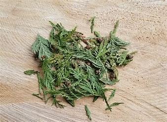 Dried Cedar
(Cedrus Libani)
Southern Alberta
$9/100g