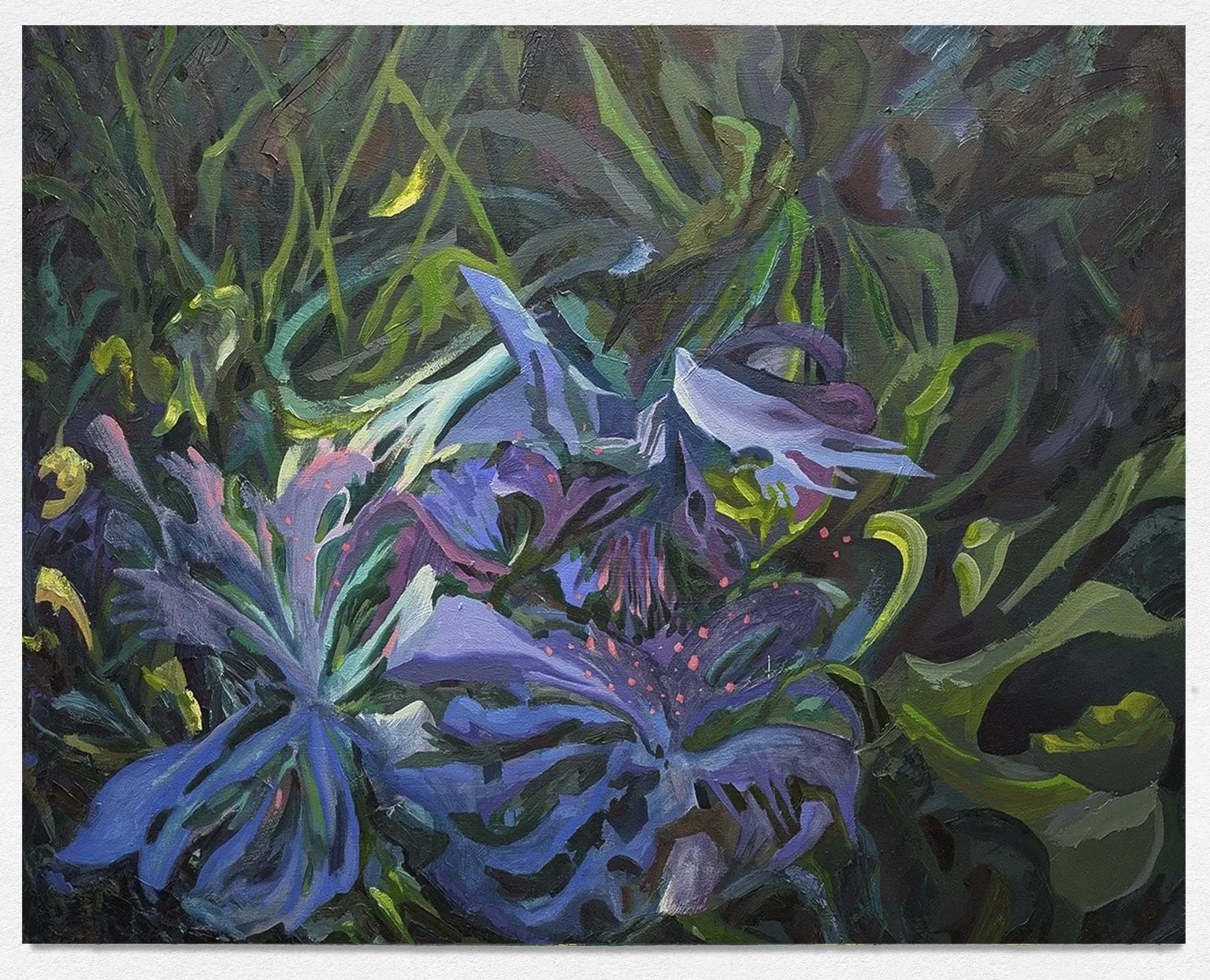 Fasciation, 2025. Oil and acrylic on canvas, 36in. x 48in. 