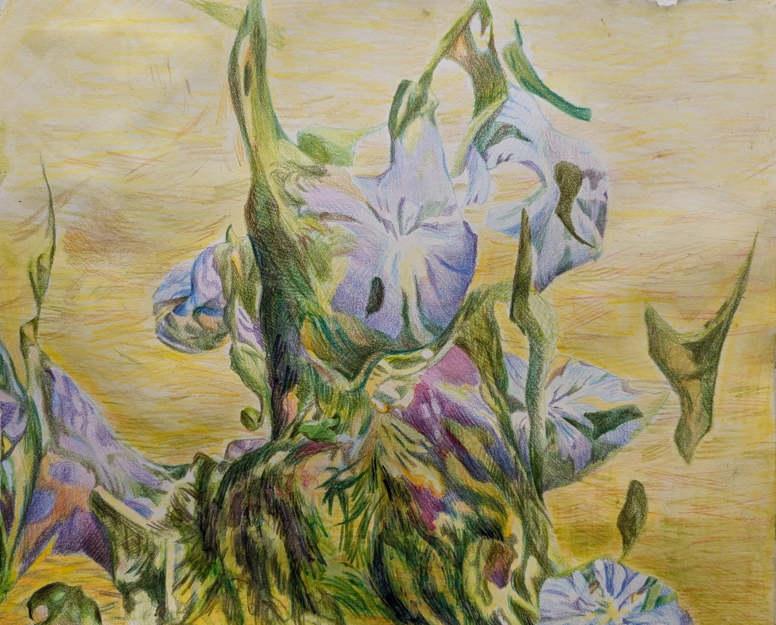 Pinnacle, 2024. Color pencil and watercolor on paper, 9in. x 11in.