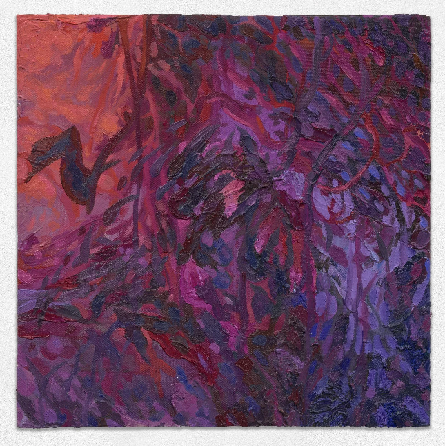 Globular Cluster, 2025. Oil on panel, 12in. x 12in.