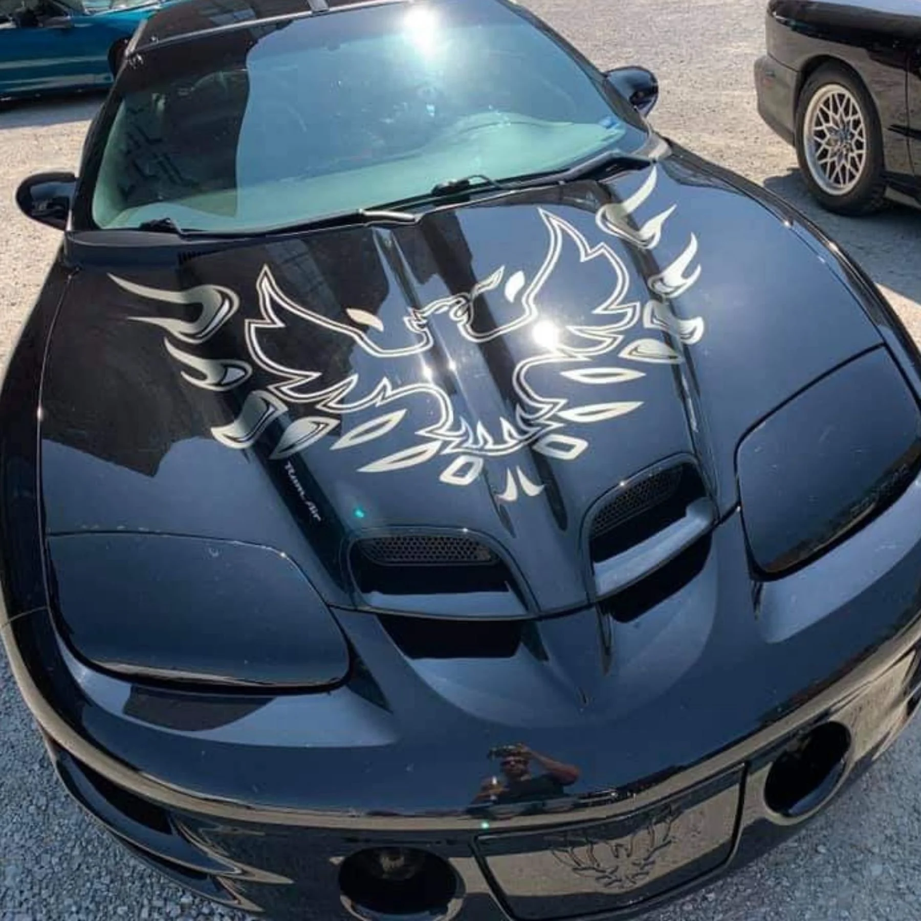 Phoenix Graphix 1978-1980 Pontiac Firebird Trans Am T/A Hood Bird Decal Kit – Hood Only