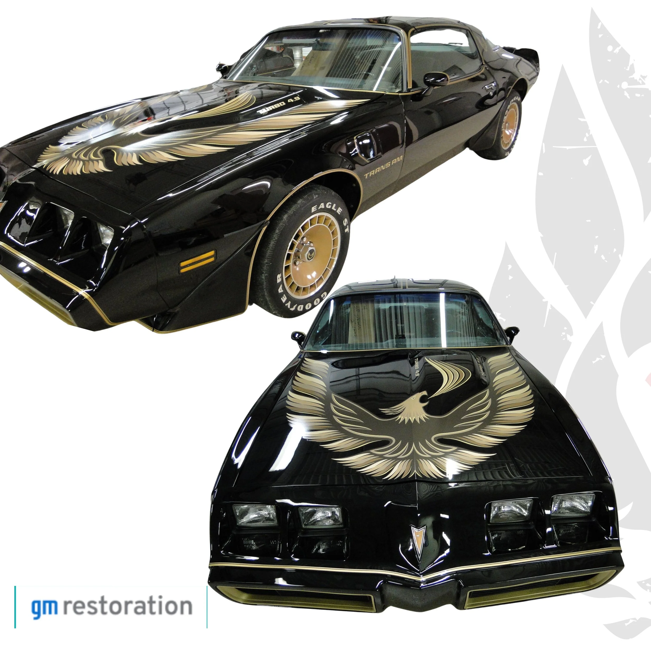 1980 Trans Am Turbo "Special Edition" Ultimate Decal & Premolded Stripe Kit