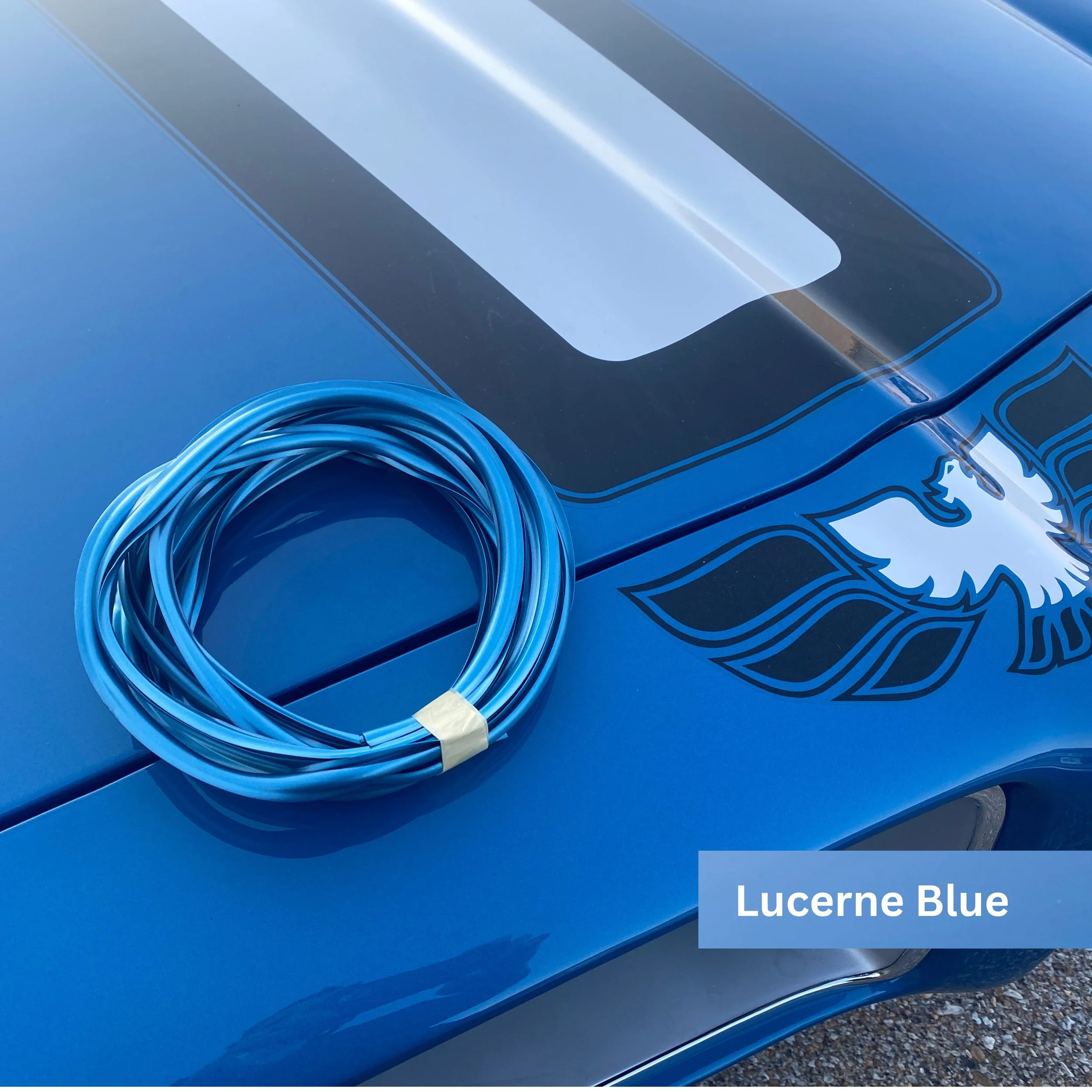 Lucerne Blue 1.jpg