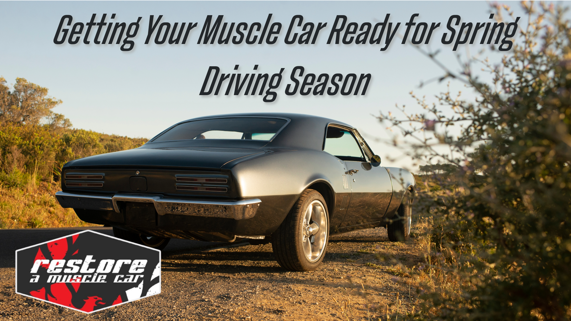 spring muscle car maintenance