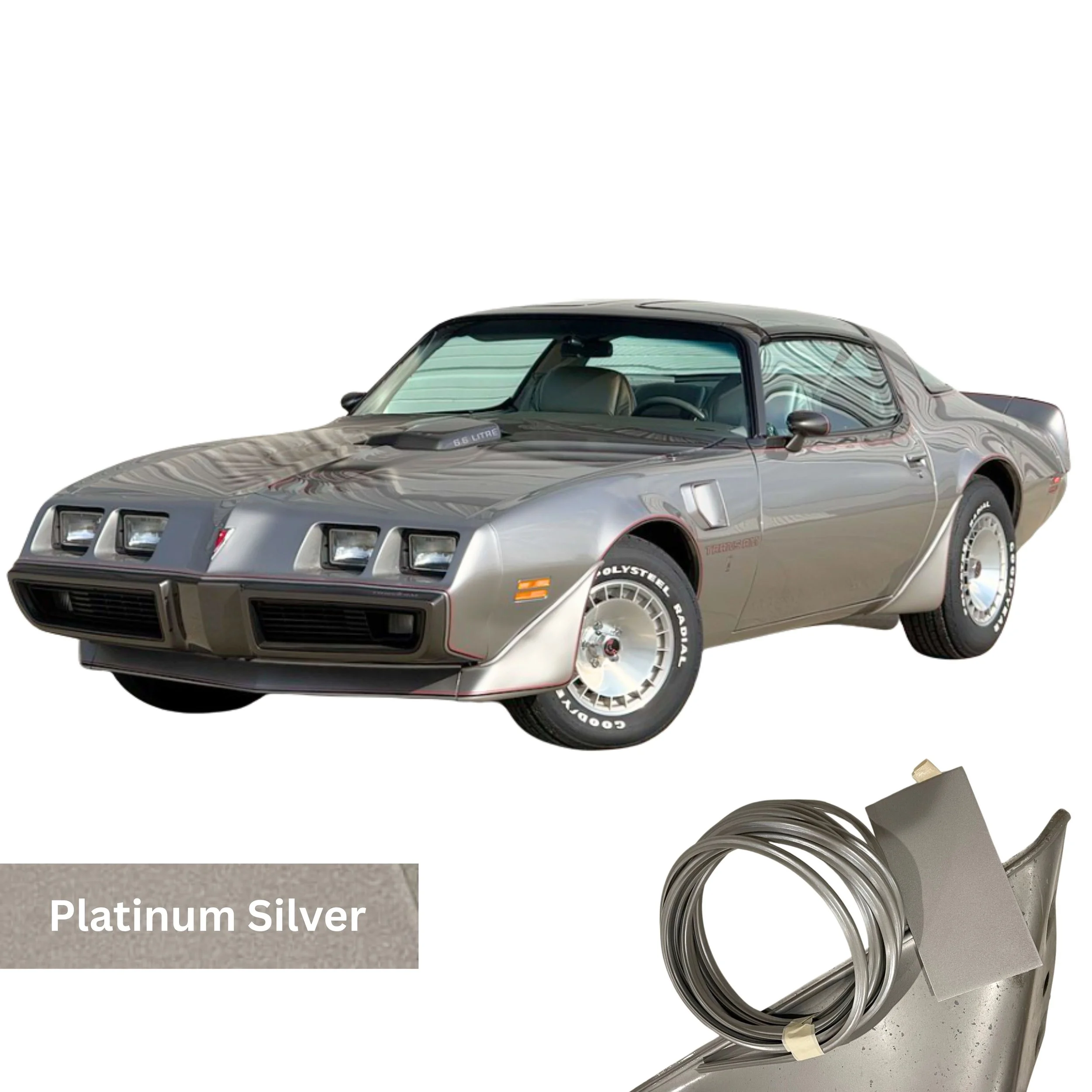 Platinum Silver 1.jpg