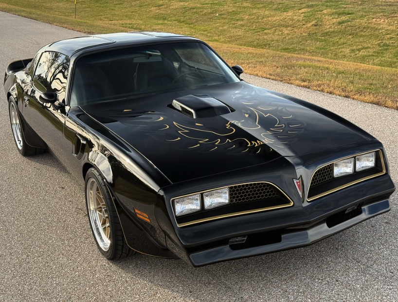 1970-2002 Pontiac Trans Am New Pro-Touring Custom Hood Bird Decal Kit by RaMC