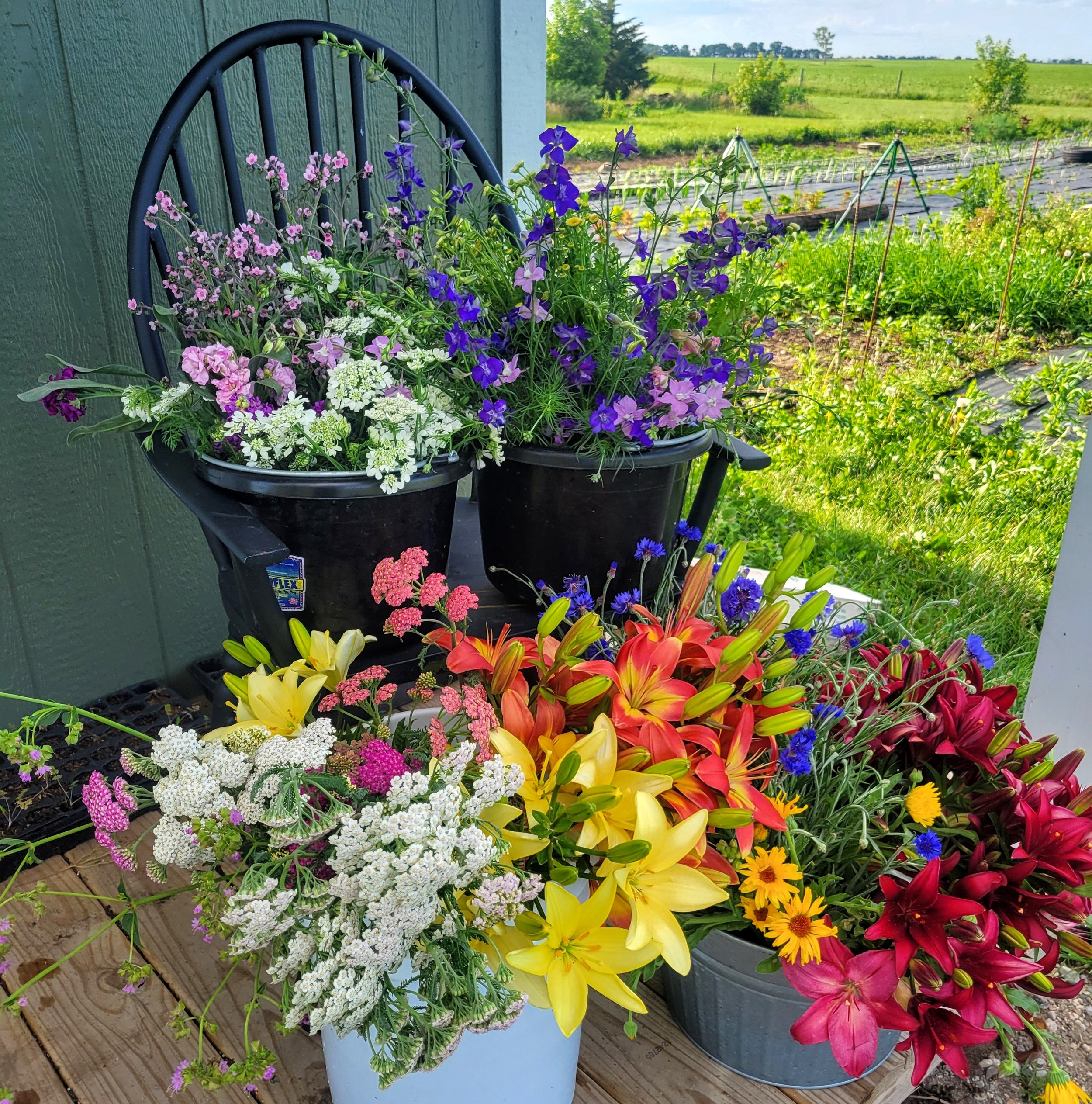flowers by bucket.jpg
