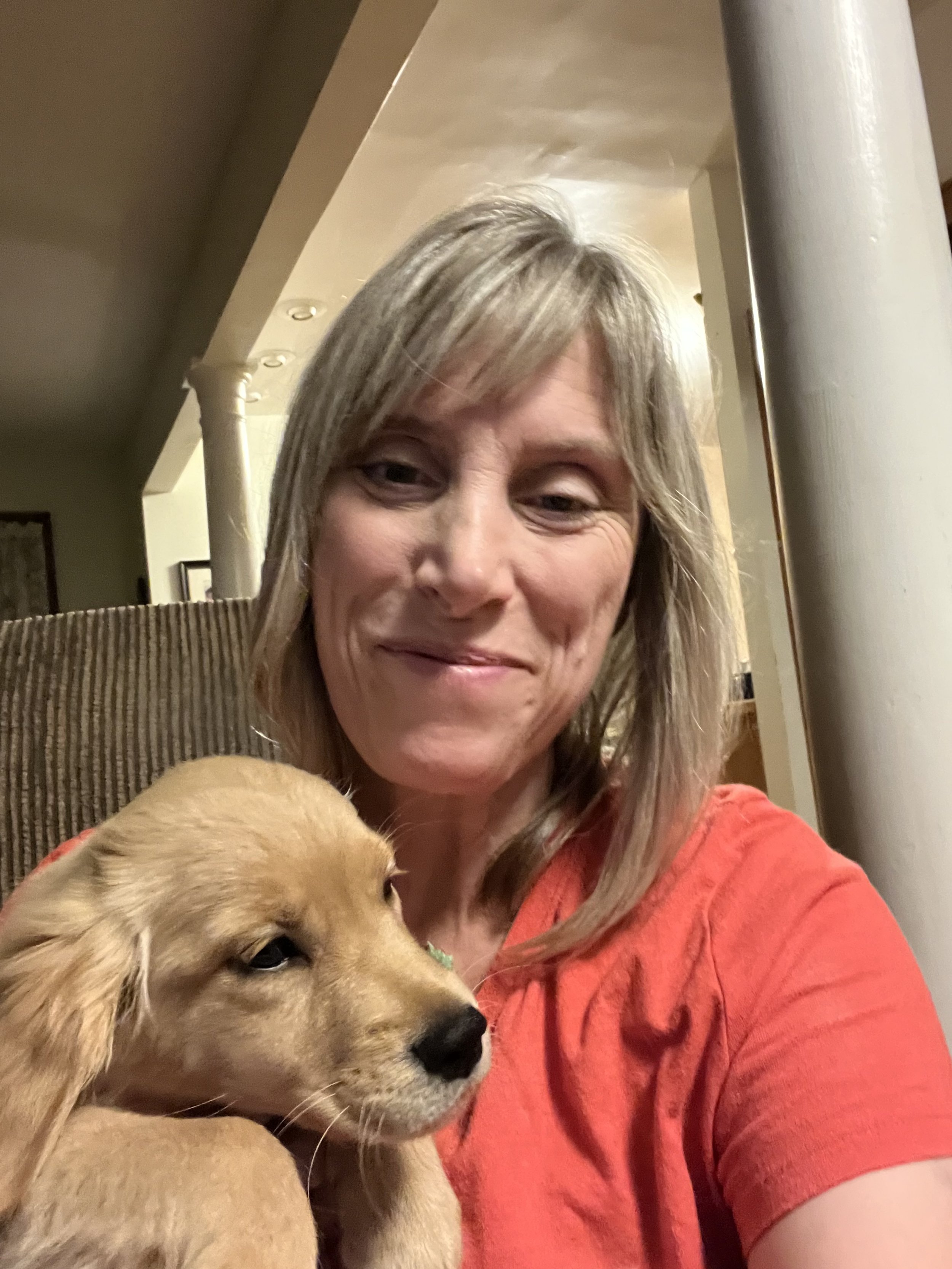 Puppy Adoption Process — Pocket Full of Sunshine Miniature Golden