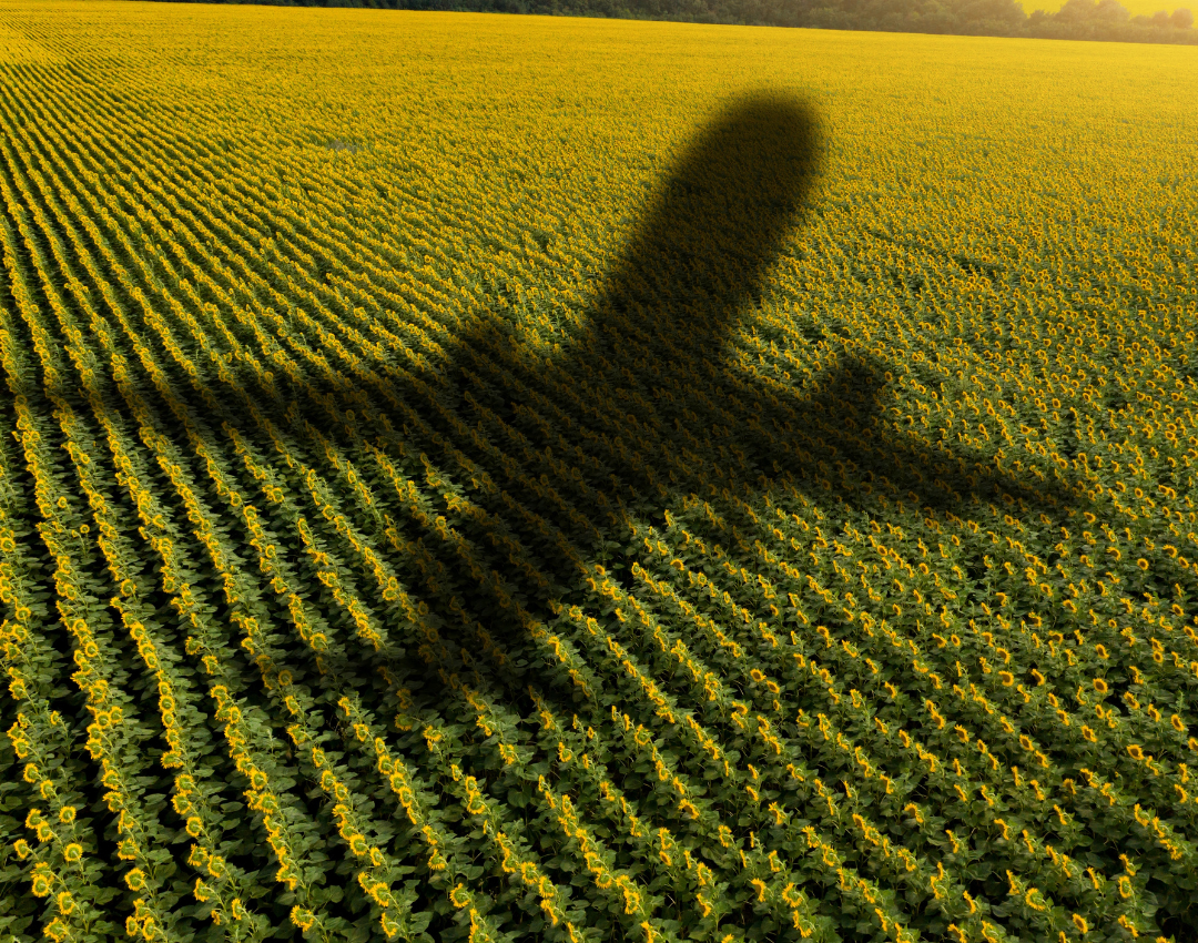 Utrikesresandet inom Europa fortsätter att prioriteras trots det makroekonomiska läget - parallellt med en fortsatt svag utveckling för inrikesflyget