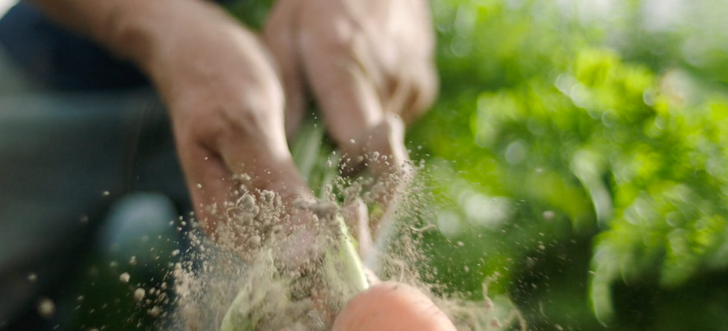 Sound Bites Delivers