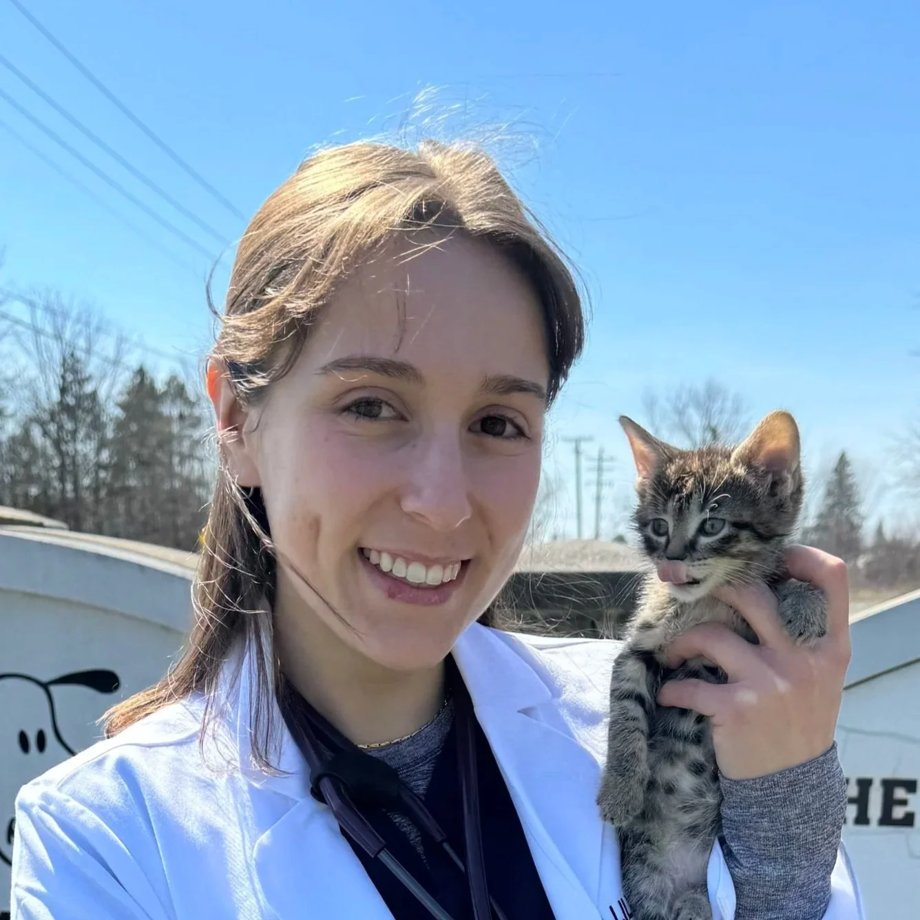 Dr. Molnar with a kitten