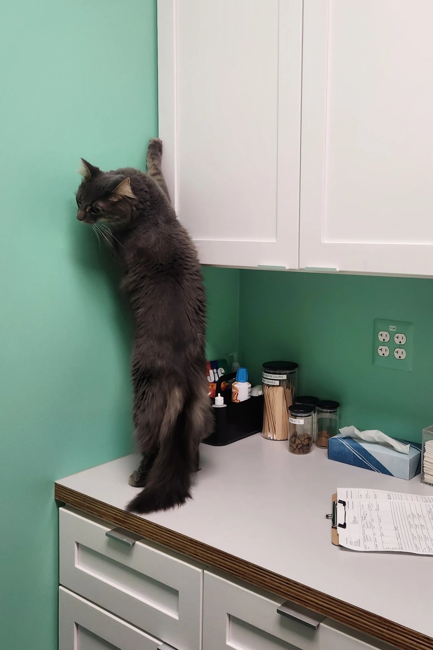 Azlaan exploring the exam room