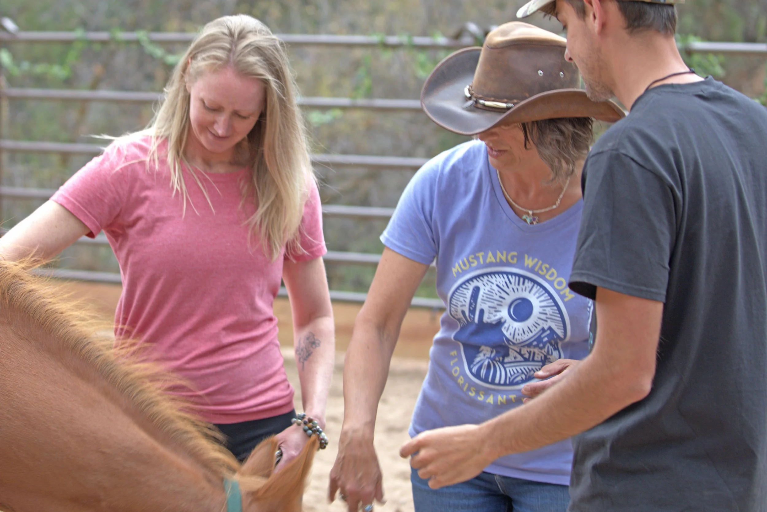 A woman petting three horses with black, brown, and orange coats behind a metal fence.