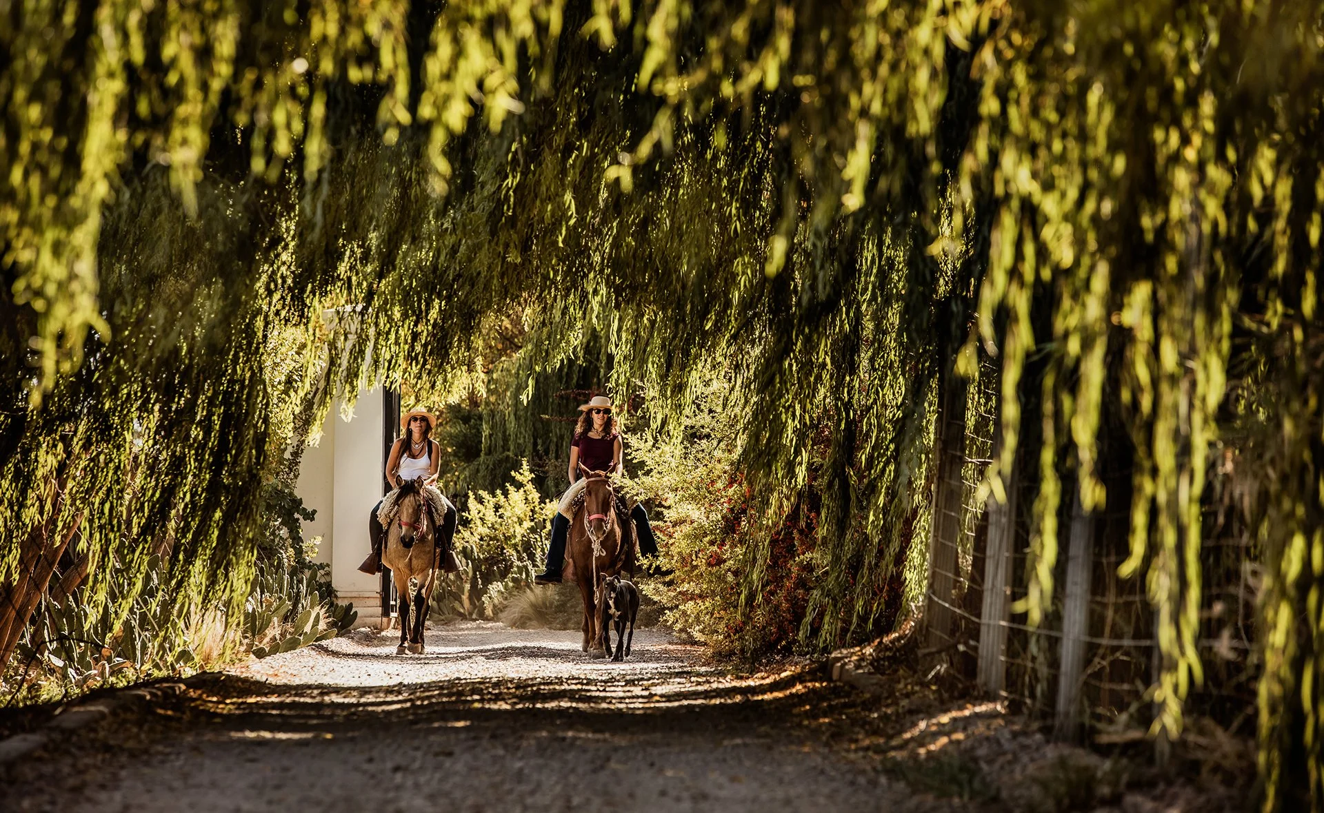 Dos mujeres montando caballos en un camino rodeado de vegetación y árboles en un ambiente soleado.