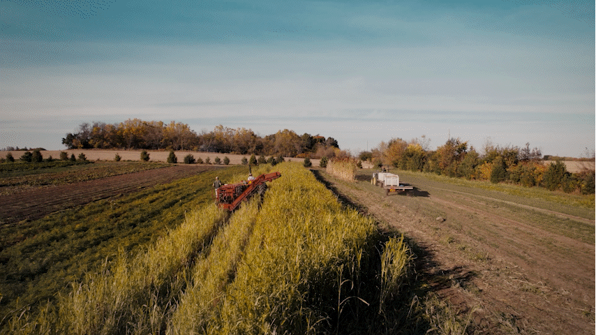 Farm to School Lunch Across America